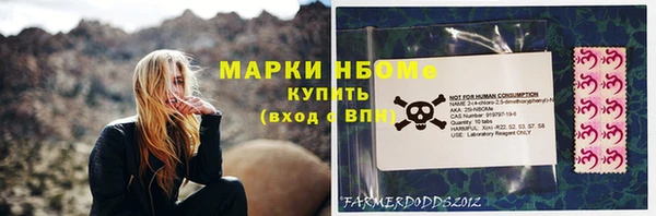 гашик Каменка