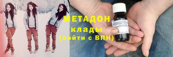 ПСИЛОЦИБИНОВЫЕ ГРИБЫ Инта
