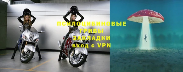ПСИЛОЦИБИНОВЫЕ ГРИБЫ Инта