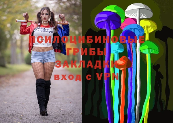 гашик Каменка