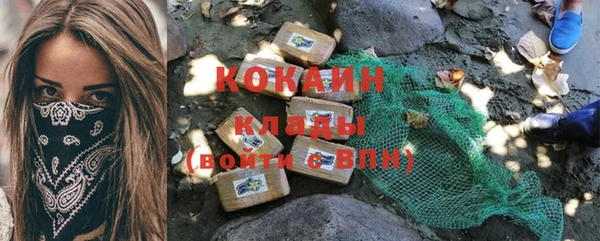 Альфа ПВП Инсар