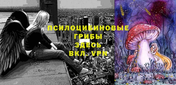 Альфа ПВП Инсар