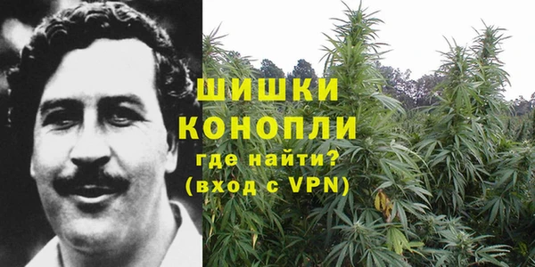 гашик Каменка