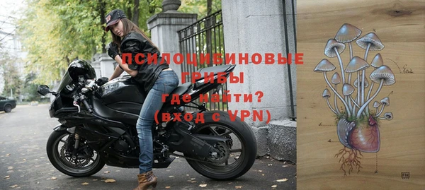 ПСИЛОЦИБИНОВЫЕ ГРИБЫ Инта
