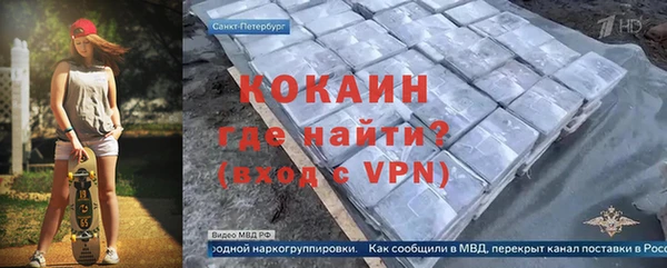 ПСИЛОЦИБИНОВЫЕ ГРИБЫ Инта