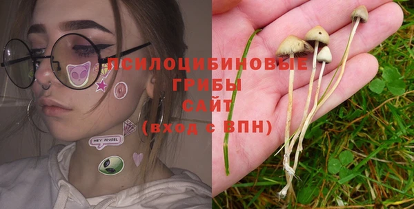 ПСИЛОЦИБИНОВЫЕ ГРИБЫ Инта