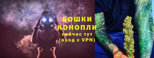 ПСИЛОЦИБИНОВЫЕ ГРИБЫ Инта