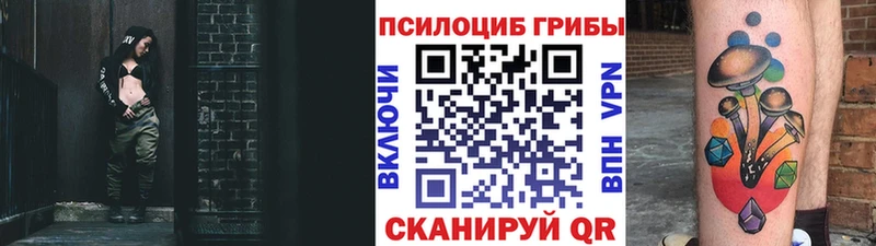продажа наркотиков  Лиски  Псилоцибиновые грибы GOLDEN TEACHER 