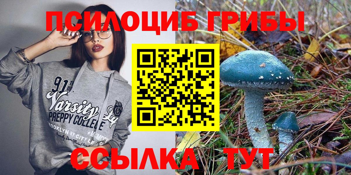 Галлюциногенные грибы Psilocybe  Вход с VPN  Лиски 